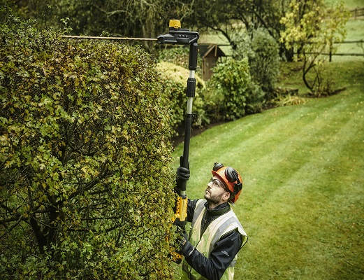Descubre las herramientas de jardín a batería DEWALT, ¡Tus mejores aliadas!