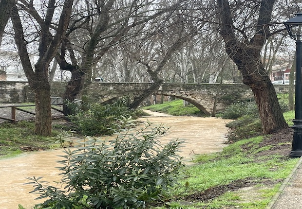 Año de anillo ancho